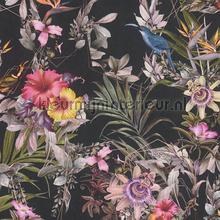 Exotische vogele en bloemen passie wallcovering AS Creation Dream Flowery 381781