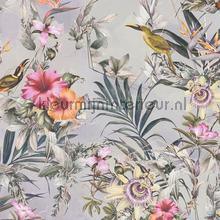 Exotische vogele en bloemen passie wallcovering AS Creation Dream Flowery 381782