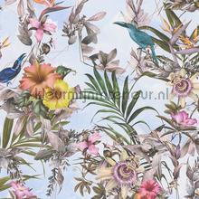 Exotische vogele en bloemen passie papier peint 381784 fleurs AS Creation