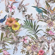 Exotische vogele en bloemen passie papier peint AS Creation Dream Flowery 381784