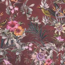Exotische vogele en bloemen passie papier peint AS Creation Dream Flowery 381785