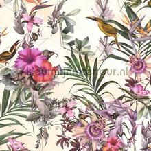 Exotische vogele en bloemen passie papier peint AS Creation Dream Flowery 381786