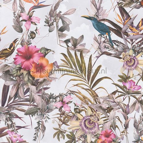 Exotische vogele en bloemen passie tapet 381787 Dream Flowery AS Creation