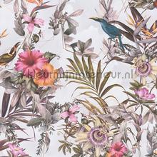 Exotische vogele en bloemen passie papel pintado AS Creation rayas 