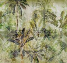 Walk in the jungle green fotomurales Behang Expresse selva 