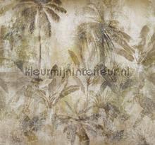 Walk in the jungle fotobehang Behang Expresse Bloemen Planten 