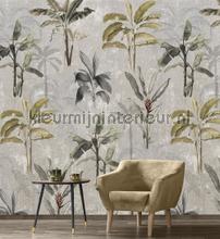 Palm trees gray fotobehang Behang Expresse Bloemen Planten 