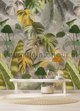 Good night nature fotobehang Behang Expresse Bloemen Planten 