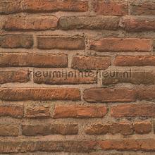 Sfeervolle terrabruine bakstenen muur papier peint AS Creation Elements 307471