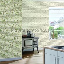 Witte uni bakstenen met klimop papier peint AS Creation Elements 319421