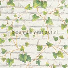 Witte uni bakstenen met klimop papier peint AS Creation Elements 319421