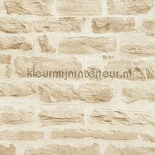 Lichte rustieke stenen muur papel de parede AS Creation quadrado 