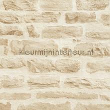 Lichte rustieke stenen muur papier peint AS Creation Elements 355802