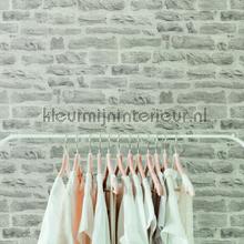 Lichte rustieke stenen muur papier peint AS Creation Elements 355804