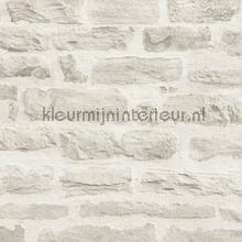 Lichte rustieke stenen muur behaang AS Creation Elements 355804