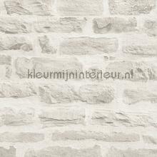 Lichte rustieke stenen muur papier peint AS Creation Elements 355804