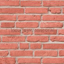 Licht terra bakstenen papier peint AS Creation Elements 355811