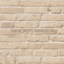 Beige bakstenen papier peint AS Creation Elements 355812