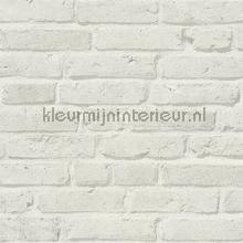 Lichte bakstenen papier peint AS Creation Elements 355814