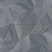 cozy wood papier peint AS Creation Elements 361333