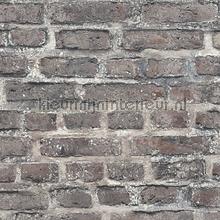 Levendige grijze muur papier peint AS Creation Elements 361393