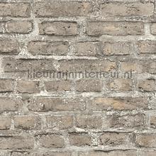 Levendige grijsbeige muur behang 361394 Stenen AS Creation