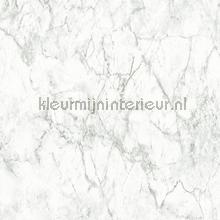 Marmer lichtgrijs geaderd papier peint AS Creation Elements 361573