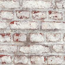 Oude geschildere muur papier peint AS Creation Elements 362801