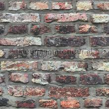 Rustiek gemeleerde muur papier peint AS Creation Elements 362811