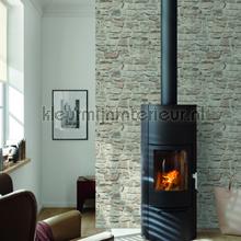 Rustieke muur tapeten AS Creation uni farben 
