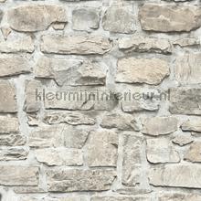 Rustieke muur tapeten AS Creation uni farben 