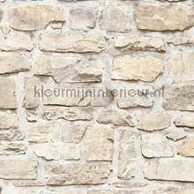 Ruwe bakstenen lichtbeige tapeten AS Creation uni farben 
