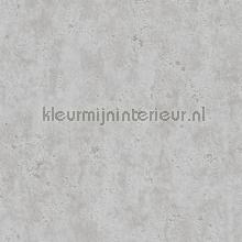 112942 tapeten AS Creation uni farben 