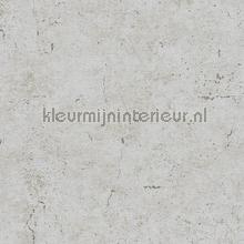 Urban concrete behang AS Creation Industrieel 