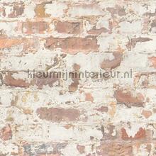 Bakstenen met gebaldderd stuckwerk tapeten AS Creation uni farben 