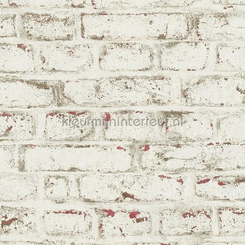 Witte muur met terrabruin accenten papel pintado 371621 Piedra AS Creation