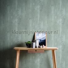 wallcovering concrete