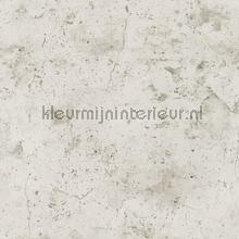 Betonwand licht warmgrijs wallcovering 374292 industrial AS Creation