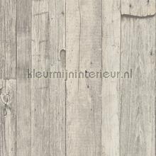 Schuttinghout grijstinten papier peint AS Creation stress 