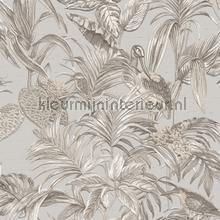 Bird of paradise grey carta da parati Dutch Wallcoverings Vintage Vecchia 