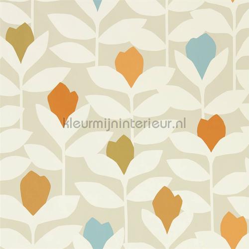 Padukka papier peint 112216 filles Scion