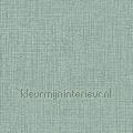 Tela lagoon green wallcovering 57507 Modern - Abstract Styles