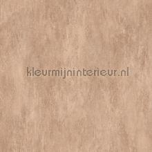 Manchas chamois papel de parede 57521 Moderno - Abstrato Arte