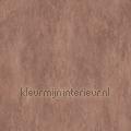 Manchas chestnut papel de parede 57522 Moderno - Abstrato Estilos
