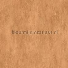 Manchas burnt orange papel de parede 57526 Moderno - Abstrato Arte