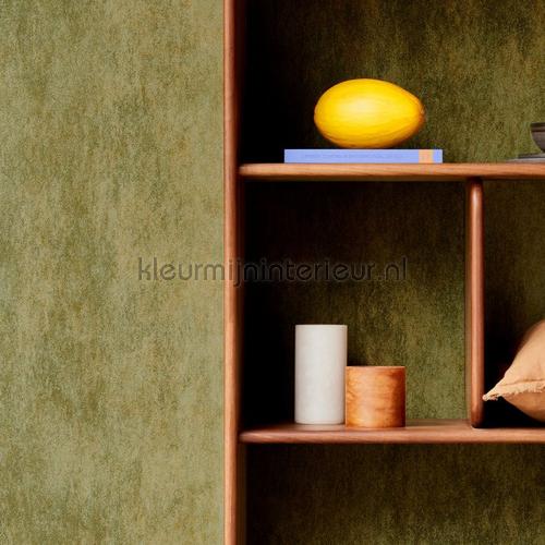Manchas unakite papel de parede 57527 Moderno - Abstrato Arte