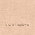 Tulle nude tapeten 73089 uni farben Motive