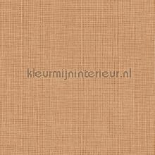 Tulle ginger tapeten 73090 uni farben Arte