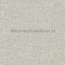 Chanderi seagull grey behaang Arte Essentials Palette 91515B
