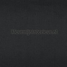 Roseau noir tapet Casamance Ete Indien 75134698